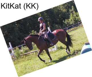 KitKat (KK)