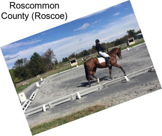 Roscommon County (Roscoe)