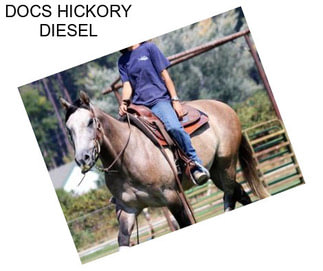 DOCS HICKORY DIESEL