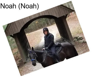 Noah (Noah)