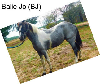 Balie Jo (BJ)