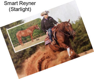 Smart Reyner (Starlight)