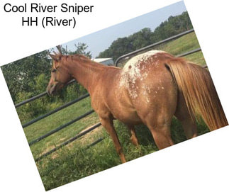 Cool River Sniper HH (River)