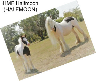 HMF Halfmoon (HALFMOON)