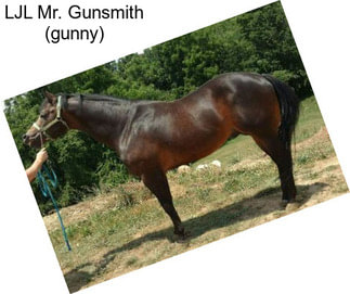 LJL Mr. Gunsmith (gunny)