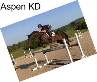 Aspen KD