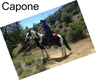 Capone