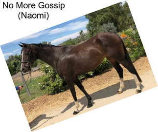 No More Gossip (Naomi)