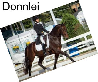 Donnlei