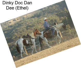 Dinky Doc Dan Dee (Ethel)