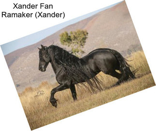 Xander Fan Ramaker (Xander)