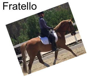 Fratello