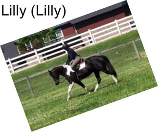 Lilly (Lilly)