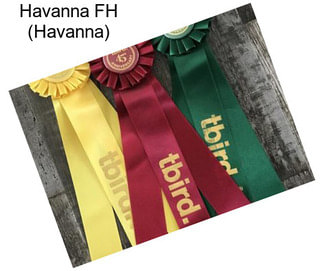 Havanna FH (Havanna)