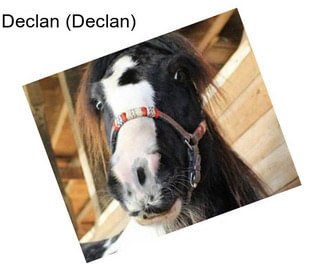 Declan (Declan)