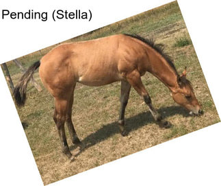 Pending (Stella)