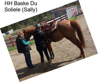 HH Baske Du Soliele (Sally)