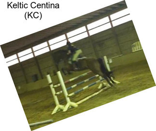 Keltic Centina (KC)