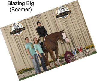 Blazing Big (Boomer)