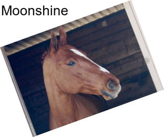 Moonshine