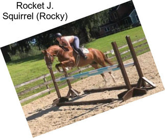 Rocket J. Squirrel (Rocky)