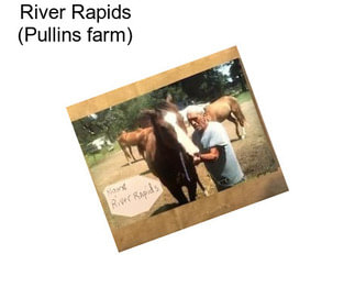 River Rapids (Pullins farm)