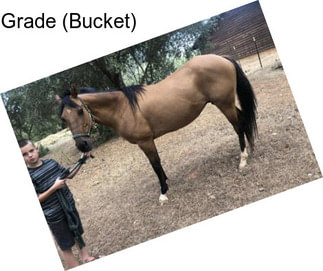 Grade (Bucket)