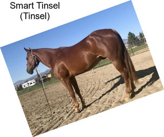 Smart Tinsel (Tinsel)