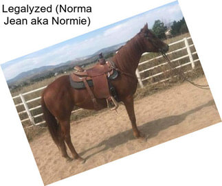 Legalyzed (Norma Jean aka Normie)