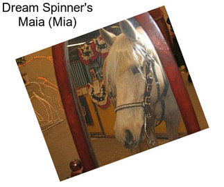 Dream Spinner\'s Maia (Mia)
