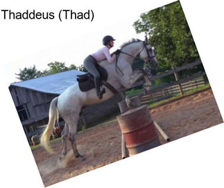 Thaddeus (Thad)