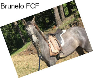 Brunelo FCF