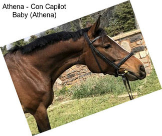 Athena - Con Capilot Baby (Athena)