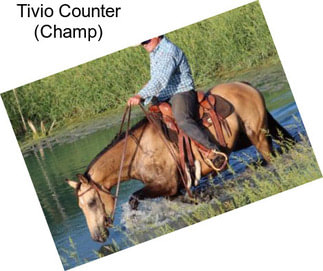 Tivio Counter (Champ)