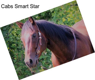 Cabs Smart Star