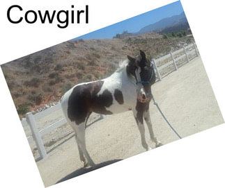 Cowgirl