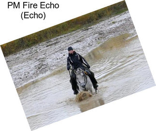 PM Fire Echo (Echo)