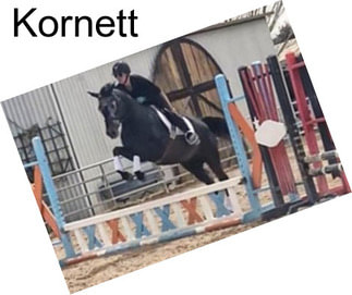 Kornett