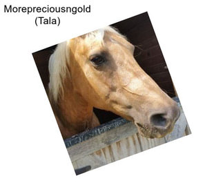 Morepreciousngold (Tala)