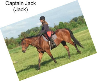 Captain Jack (Jack)