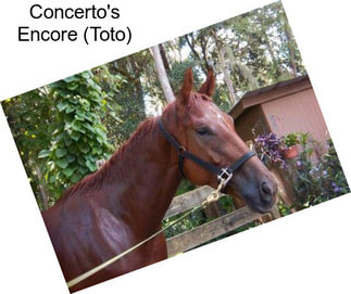 Concerto\'s Encore (Toto)