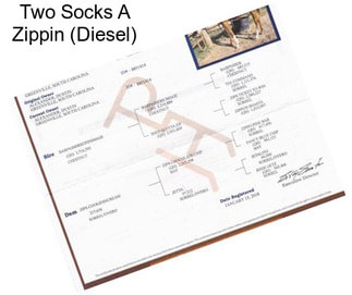 Two Socks A Zippin (Diesel)