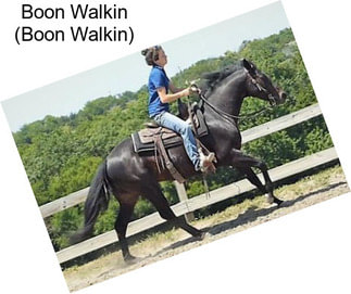 Boon Walkin (Boon Walkin)