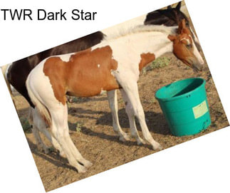 TWR Dark Star