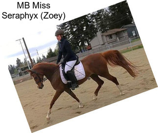 MB Miss Seraphyx (Zoey)