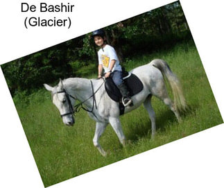 De Bashir (Glacier)