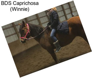 BDS Caprichosa (Winnie)