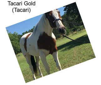 Tacari Gold (Tacari)