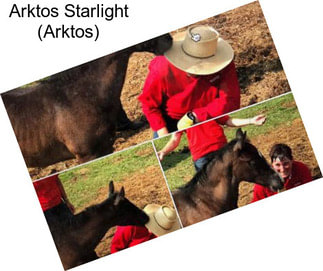 Arktos Starlight (Arktos)