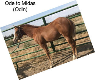 Ode to Midas (Odin)